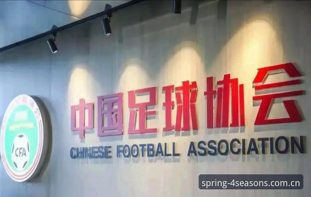 中国足协禁足名单解读指南：从行业乱象到规范建设的完整路径